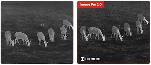 Image du produit 15