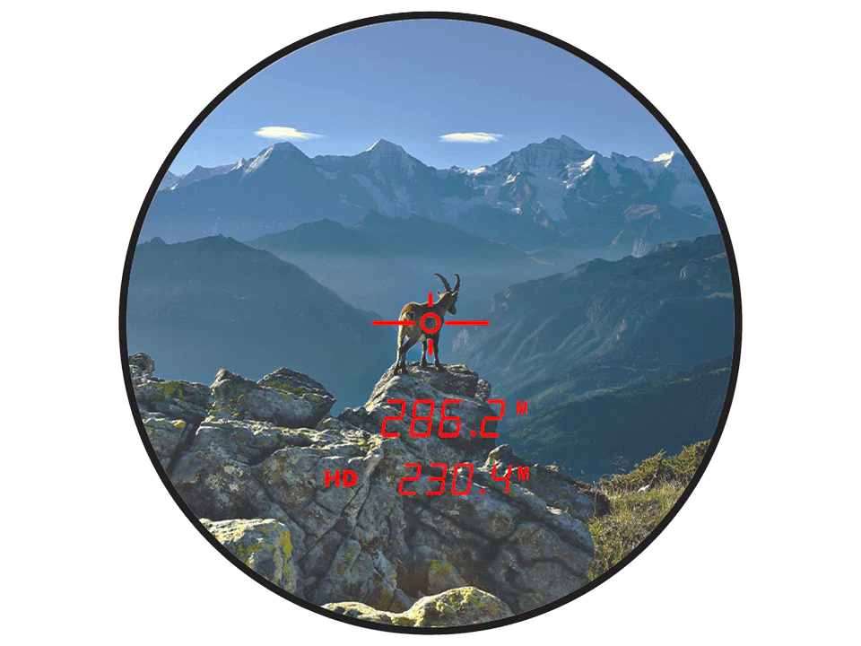 Image du produit 12
